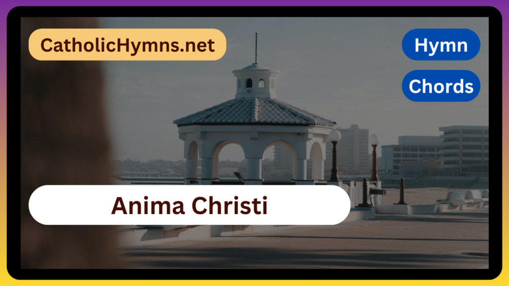 Anim Christ